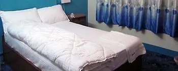Api 2*